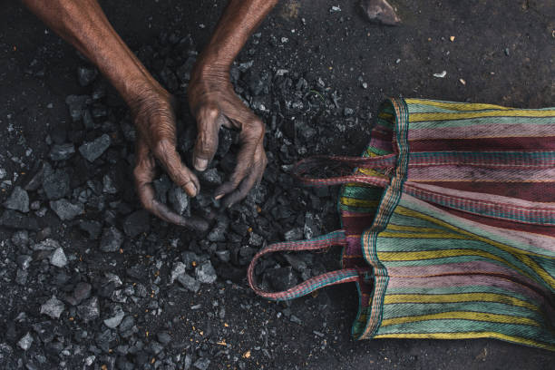 CIL's North Eastern Coalfields asks clearance to operationalise 2 Assam mines