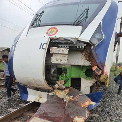 Railways to install new-design fences to prevent cattle hits