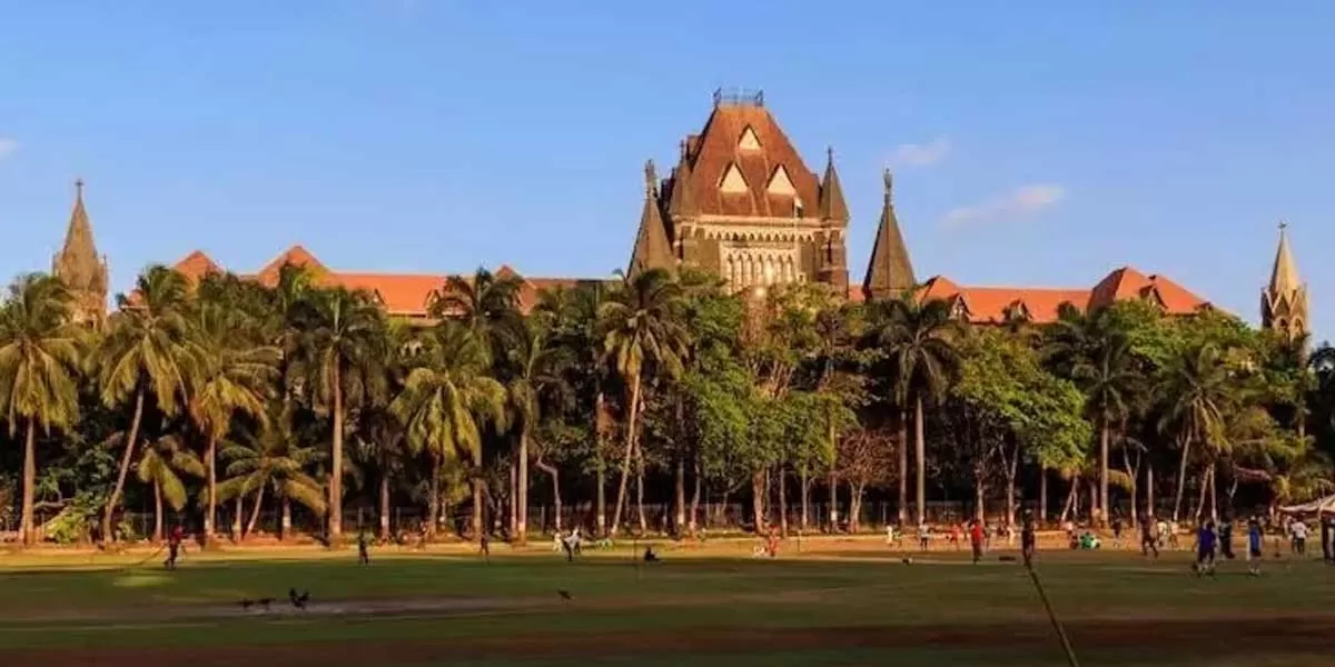 Pomburpa land conversion faces PIL challenge in Bombay High Court