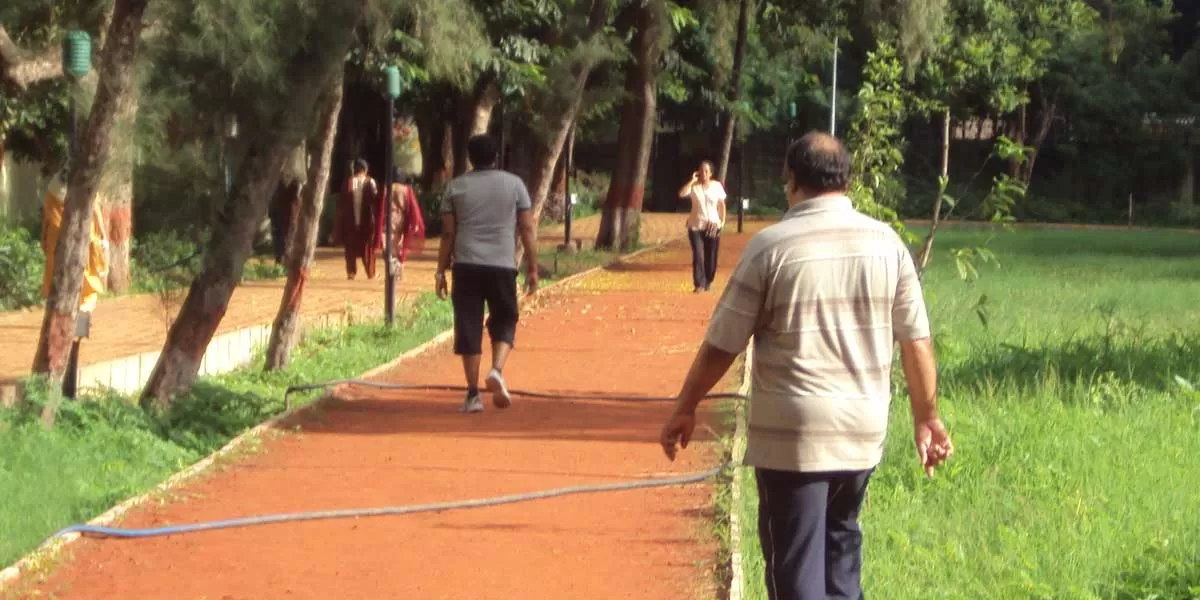 F&CC approves jogging track in Sector 24 Park