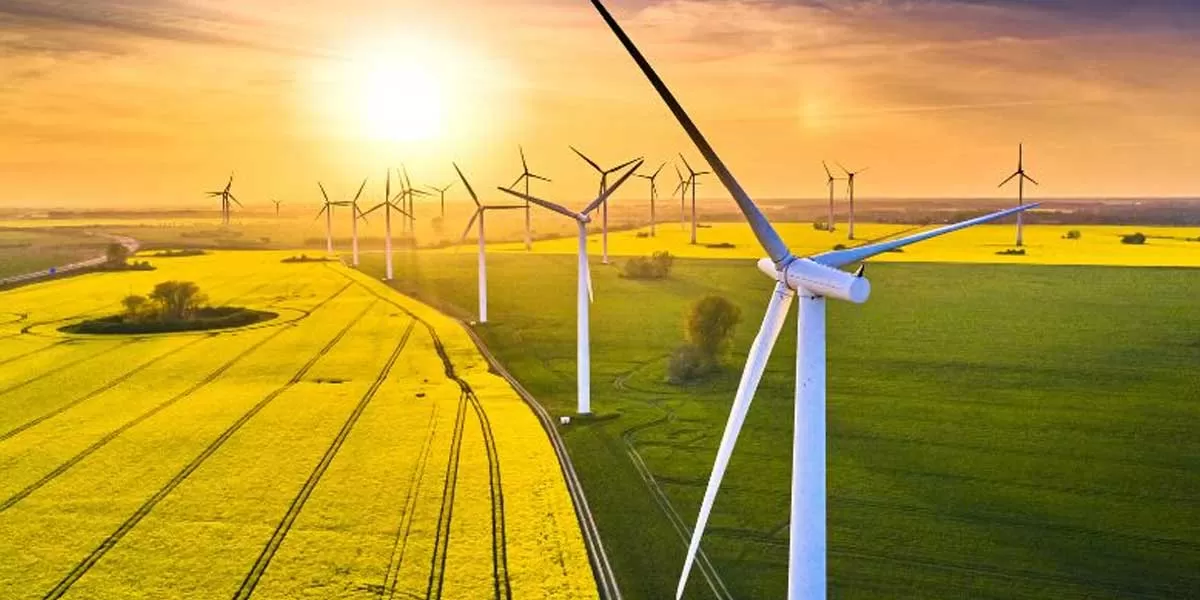 GUVNL Issues Bids for 250 MW Wind Power Projects in Gujarat