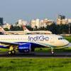 IndiGo's board approves Venture Capital division