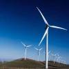 Wind energy project e-reverse auctions to begin: Secretary MNRE