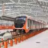 Kanpur Metro to Develop Green Belt on Baradevi-Naubasta Section