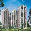 Kolte Patil Developers Registers 1% Growth in Q1 FY25 Sales Bookings