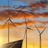 IEEFA calls on Rajasthan, Gujarat to strengthen renewable policies