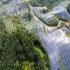 China Sets Stricter Solar Investment Guidelines