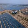 Bridge and Roof Secures SJVN Contract for 100 MW Solar Project