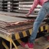  HGIL to set up greenfield project for plywood in Tamil Nadu