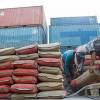 Cement volume registers 20% growth recovery in June: Ind-Ra