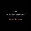 Video: The Year of Sobriquets