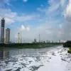 NGT Directs DDA to Deconcretise Projects on Yamuna Floodplain