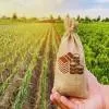 Cabinet approves Rs 13,966 Crore for Agriculture