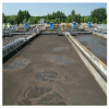  Wastewater treatment: Bionetix offers bioaugmentation solution