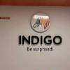 Indigo Paints reports 58.26% growth in Q1 FY24