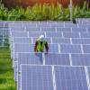 Adani Group, RIL and 17 other companies bid for making solar modules  