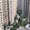 Noida Authority Directs Suraksha to Resume Jaypee Kosmos Maintenance