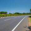 Nearly 200 trees translocated for road expansion in Nalgonda