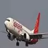 SpiceJet Deposits Rs 100 Crore