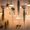 Role of lights in home interiors