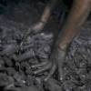 India's coal imports decline by 12% in April-August 2021