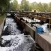 DJB Plans Sewage System Audit with IIT Delhi or DTU