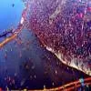 SAIL strengthens Mahakumbh Mela with 45,000 Tonne of Steel