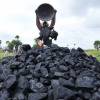 Coal dispatch to power plants increased by over 27% in October