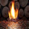 NTPC orders 9,30,000 tonnes of biomass pellets 