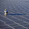 NHPC invites bids for 600 MW ISTS solar project in Rajasthan