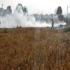 Renewables start-up to convert farm stubble into energy