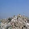 Bangalore Aims for Green Waste Management Fleet by 2025