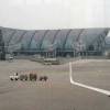 AAI and GNR to go against each other in Greater Noida Airport bidding process