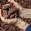  NMDC slashes iron ore prices by Rs 200 per tonne 