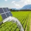 Servotech Bags 1100 Grid Connected Agriculture Pumps order