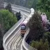 Union Minister Launches First Train Set For Namma Metro's Yellow Line