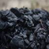 Coal India’s CO2 emission 0.65% of country’s total : CIL