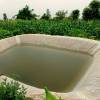 Rajkot achieves 3rd place in rainwater harvesting