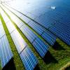 SECI may reduce solar tender size over high tariff concerns