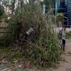 Cyclone Yass likely to hit Odisha, West Bengal around May 25-27