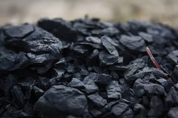 Coal Sector Greening India's Barren Lands