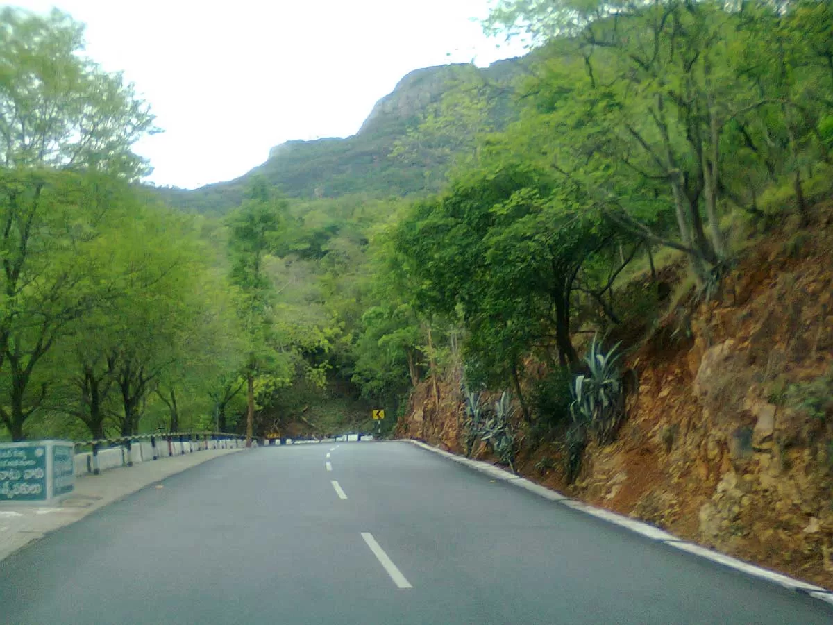 South Goa MP Urges Gadkari to Save Village from Highway Expansion