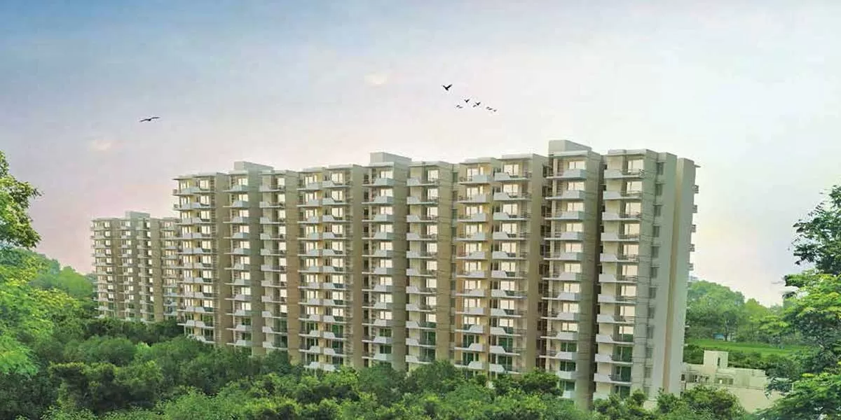 Noida developers face Rs.1,035 crore dues