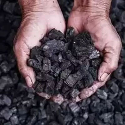 India’s Coal Imports Rise 11.4% in April-August FY25
