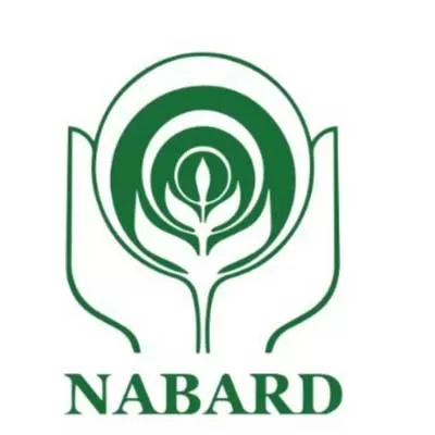 Nabard plans Rs 300 billion bond raise in FY25: CRISIL