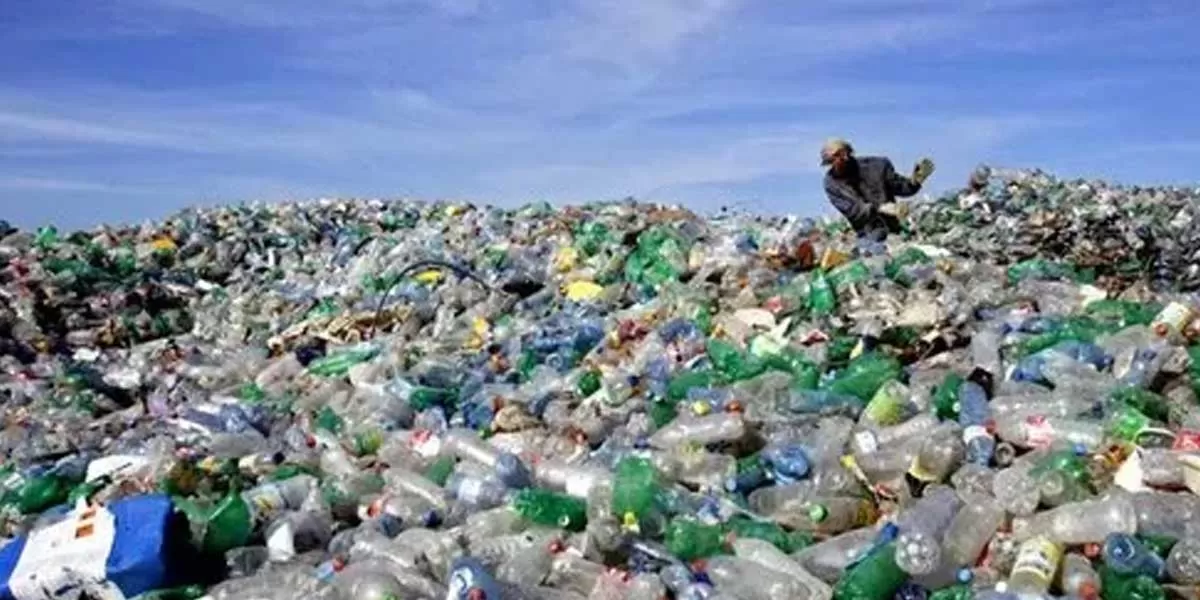 NGT Highlights Waste Management Issues