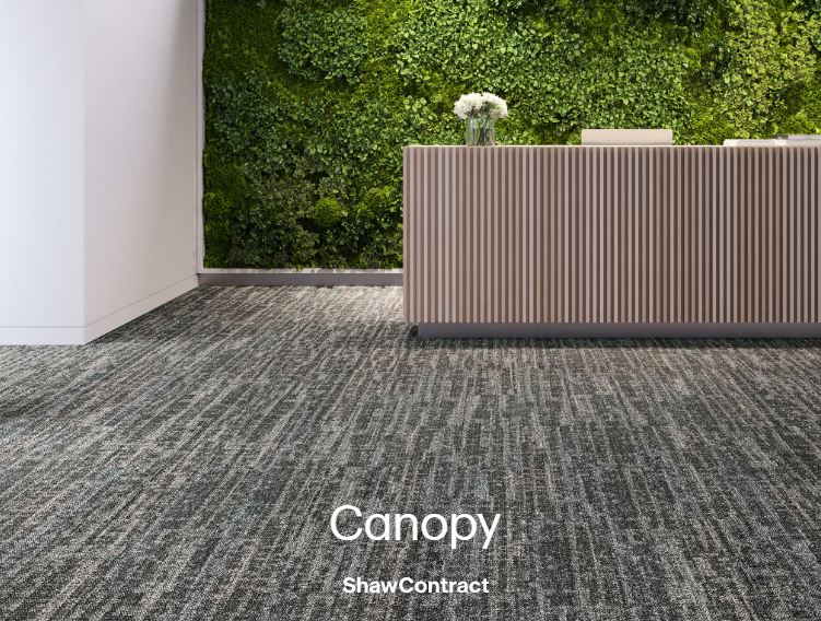 Shaw Contract introduces Canopy collection