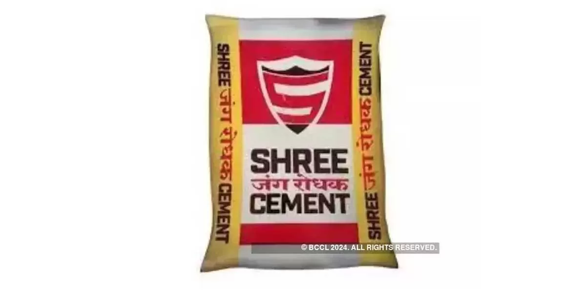 Shree Cement Q2 Profit Drops 81 Margins Fall 319 bps