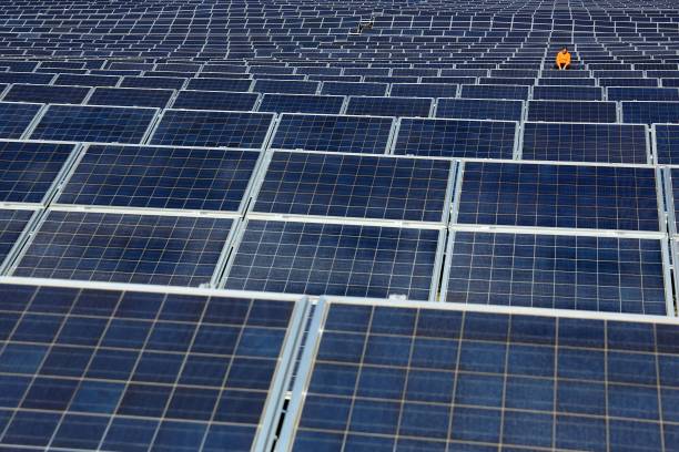  SJVN invites bids for 75 MW solar project in Uttar Pradesh