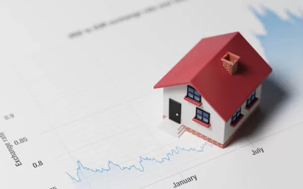 Single-Family Housing Sees Rebound in November 2024 in US